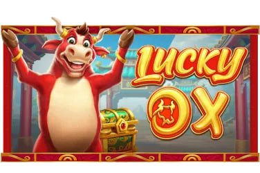 Mobile app dashboard showing live casino tables